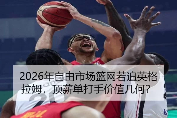 nian-zi-you-shi-chang-lan-wang-ruo-zhui-ying-ge-la-mu-ding-xin-dan-da-shou-jia-zhi-ji-he-2-273.jpg