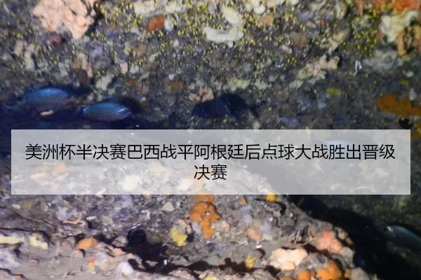 mei-zhou-bei-ban-jue-sai-ba-xi-zhan-ping-a-gen-ting-hou-dian-qiu-da-zhan-sheng-chu-jin-ji-jue-sai-3-717.jpg